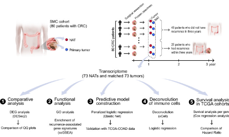 SXR202304021C+影响因子8+让癌旁组织不再是正常对照