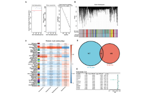 SXR202305012C-ClearLove-人人都会的5+生信发文思路了解一下？