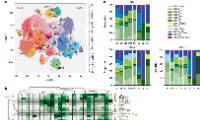 Nature?Immunology:揭示人类组织的记忆T细胞的图谱