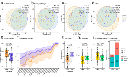 SXR202305011C-SHZ-Nature子刊：肺癌患者肠道念珠菌过度生长或与乳酸有关！