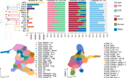 SXR202305016C+影响因子10+泛癌T细胞整合研究，10+纯生信！！