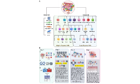 SXR202305009C_13+泛癌免疫细胞互作预后思路分享