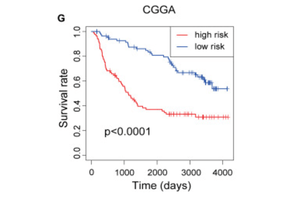 降维预后流程测试服务
