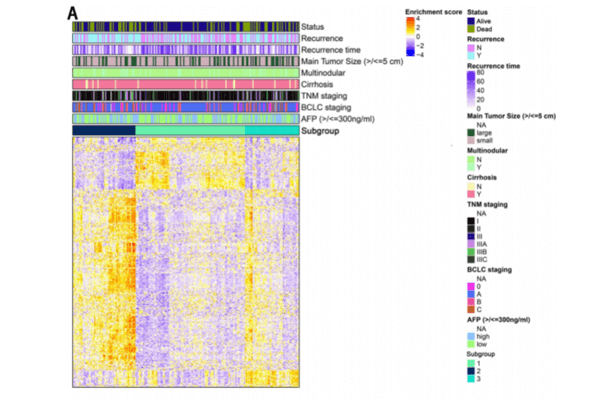 分型预后流程测试服务